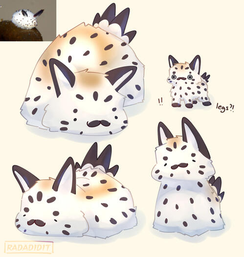 august 2024 work (shaded)